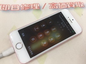 A3F92BB4-E654-4450-AEAA-F4B31D8D02A3