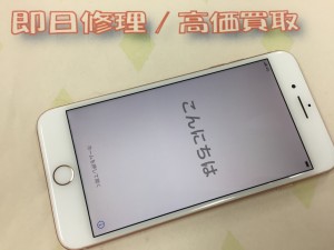 5BCD1D8F-B87B-4C49-82FC-EC650134943C