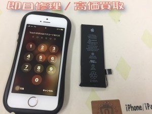 DBFA3368-8CAF-49AA-B1E2-56CB38A29607