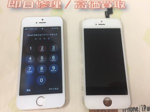 F5858D12-CB1C-4305-83C5-08EB02557D3C