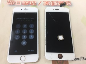 338FBB95-A09C-4CB7-B0BE-CE183EF0F12F