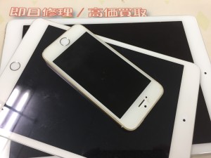 7EA0C85D-8AB7-4092-B8F2-A10CB0BBEB9E