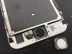 BE7C9A17-A8AD-4C87-81A2-34CDC62A4E2B