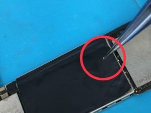 2766AE24-25D5-4376-A4CC-93963D6E1F67