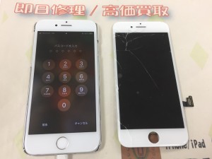 3325B30A-0309-4954-A3A6-B79347311E88