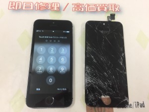 50115423-9F39-419E-9B6B-E4F547422BD0