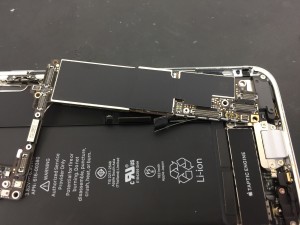 8294E50B-9FE7-4E4D-B5CE-BB0478152D7B