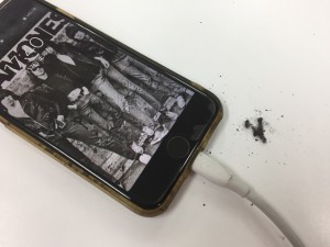 8C6EE693-B043-40CC-9E6B-C7C4A489D888