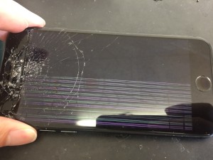 0A2DFA8D-B6E2-4CC3-9696-B34D72D31016