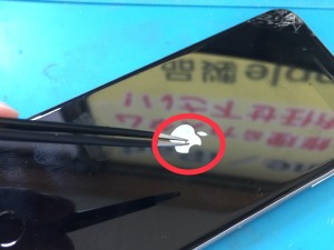 395C95D0-4331-4E91-871B-EAA29302D1D0