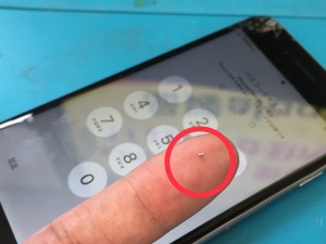 5CF88ACF-3D42-42CA-885B-E4AD89DFA8E6