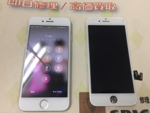 EA486843-869F-4FFA-87A4-E98B005383E8