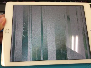 BDCF3543-BE07-4601-9590-86A4BF1E8E44