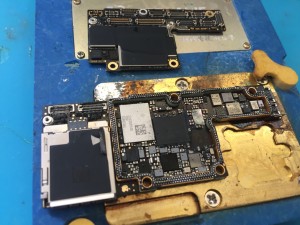 C1B3F048-E815-4DA7-82F8-B4D8A64E7307