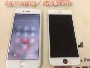 67443304-3BA7-4E54-BDAD-C4B013E4ED73