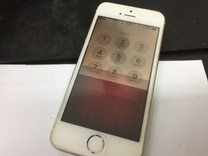 8154F65C-5CF2-48BF-8CF5-FBB0E48194D0