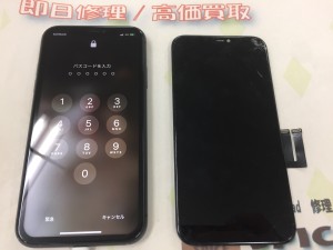 B74E4E91-CEDC-43FD-ABDA-46033A7DA1A1