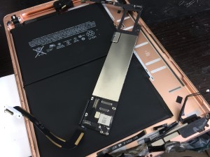 9189058A-1C31-4EE0-A1AC-3B048CC3B3C0