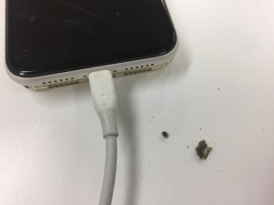 8DD1A75B-B70C-4A24-A4B1-49AAE90BBFFB