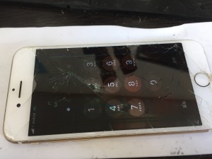 E9FFF56B-F1FF-4826-96B9-25BD10325A24