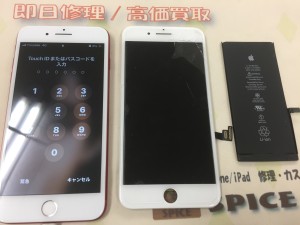 2FCCD9B8-E9C3-48C3-A79B-E4C93FAE8A8D