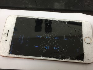 6A3CA52A-CF0F-415B-B31F-825E40145E09