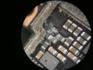 F2AF9FBA-BC36-451C-A750-CC1D3667D2A8