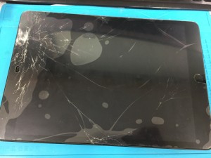 509F013D-F21C-4A32-AD9E-D25FF6F64662