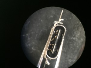 76709F14-D3EE-48E0-9911-E79BA512C725