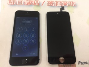 3B299879-E4EF-405D-8DB2-A96001C38E1F