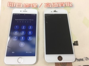 4C0D62CC-37FD-444D-8023-3C307C418B2E