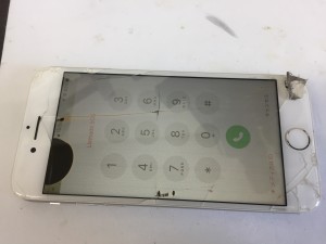 331DEB4A-930E-493F-B1DC-405EB1515062