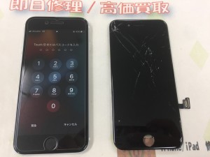 5B613495-D9FC-4420-99CB-1E77EC96262E