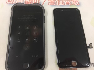 B0B66DF0-13E4-48D6-A74D-7BFC89D9DC33