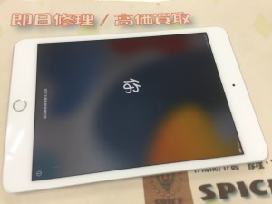 F0668423-0024-4C56-98F4-18A06E93E743