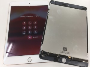 C0DC4E95-CC13-48F0-AE98-2FA3003534B9