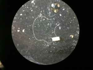 438E4D31-8807-4971-A104-F0BF95BF2F86