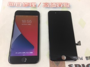 8113FF45-E7EA-4595-8BBA-FCCF0B1B2701