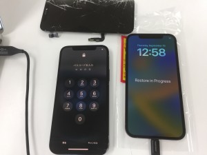 FE0E8B31-D2EA-48E4-95A1-36E522F8AD82