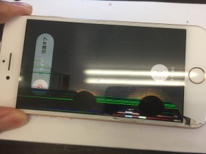 F3D5A369-EFE7-4340-80B1-549607DD8E72