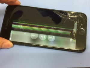 F9CA272F-46EE-47B7-88EE-72FDF008DD62