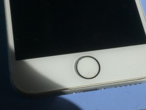 13B91EBD-40C1-4B6A-B7E0-604E44848EDF