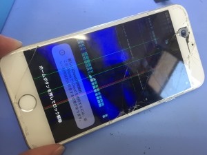 866D7056-AB6F-4DAC-A2B3-872232E8601A