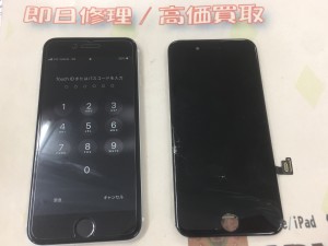 121A8DCD-36CE-452E-B6BB-F43A6C566FCF