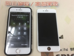 129F5AE3-A041-409F-B4B4-FEE1BC18D875