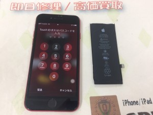 2553A929-2B38-4D86-9CAF-E073150E6CCA