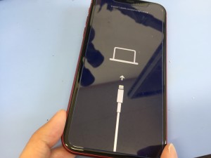 72FA3063-B314-4482-A5BA-B5D14803EDCB