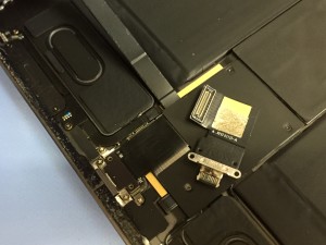 DE921D3E-9307-443D-A00C-4EBDE208CD37