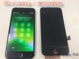 0F8F8B20-4AFE-44EF-A93C-847073FFFD39