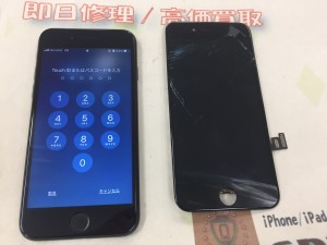 578E70B3-764A-49A2-8AF4-10A0249AE48C